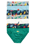 7pk Pure Cotton Dinosaur Briefs (2-7 Yrs)