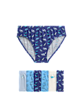 7pk Pure Cotton Dino Briefs (2-8 Yrs)