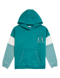 Cotton Rich Colourblock Hoodie