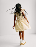 Poplin Stripe Shirred Dress