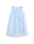 Butterfly Applique Dress (2-7 Yrs)