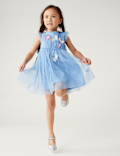 Butterfly Applique Tulle Dress
