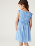 Butterfly Applique Tulle Dress