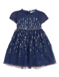 Sequin Star Embroidered Dress