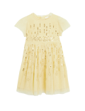 Sequin Star Embroidered Dress