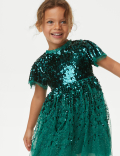 Sequin Tulle Party Dress (2-8 Yrs)