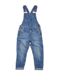 Denim Floral Print Dungarees (2-7 Yrs)