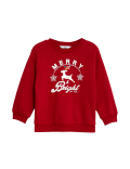 Cotton Rich Christmas Sweatshirt (2-8 Yrs)