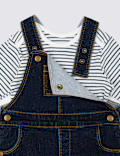 2 Piece Bodysuit & Pinafore Outfit (0-3 Yrs)