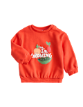 Cotton Rich I Am Growing Sweatshirt (0-5 Yrs)