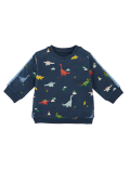 Cotton Rich Dinosaur Print Sweatshirt (0-3 Yrs)
