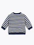 Cotton Dinosaur Appliqué Striped Sweatshirt