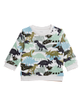 Cotton Rich Dinosaur Sweatshirt (0-3 Yrs)