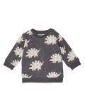 Cotton Dinosaur Print Sweatshirt (0-3 Yrs)