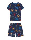 Harry Potter™ Pyjama Set (6-16 Yrs)
