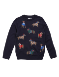 Mini Me Dog Jumper (6-16 Yrs)