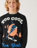 Pure Cotton Christmas Jumper