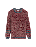 Cotton Rich Jumper (6-16 Yrs)