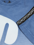 Pure Cotton PlayStation™ Logo T-Shirt (6-16 Yrs)