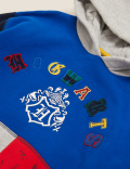 Harry Potter™ Hogwarts Hoodie (6-16 Yrs)
