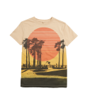 Pure Cotton Skater Print T-Shirt