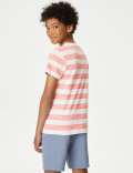 Pure Cotton Striped T-Shirt