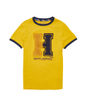 Harry Potter™ Pure Cotton House T-Shirt (2-16 Yrs)