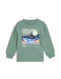 Pure Cotton Whale Top (2-8 Yrs)