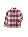 Pure Cotton Checked Shirt