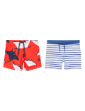 2 Pack Print Swim Trunks (2-7 Yrs)