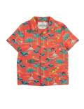 Pure Cotton Dinosaur Print Shirt (2-7 Yrs)