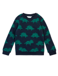 Cotton Dinosaur Sweatshirt (3 Mths - 7 Yrs)