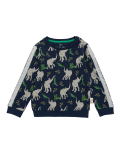 Roald Dahl™ & NHM™ Elephant Sweatshirt