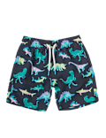 Sustainable Dinosaur Print Swim Shorts (3 Months - 7 Years)