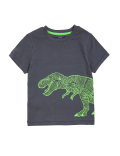 Pure Cotton Dinosaur T-Shirt (2-7 Yrs)
