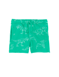 Cotton Rich Dinosaur Shorts