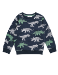 Cotton Rich Dinosaur Sweatshirt (2-7 Yrs)