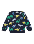 Cotton-Rich Dinosaur Sweatshirt (2-7 Yrs)