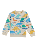 Cotton Rich Dinosaur Sweatshirt (2-7 Yrs)