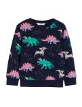 Cotton Rich Dinosaur Sweatshirt