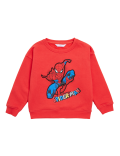 Cotton Rich Spider-Man™ Sweatshirt (2-7 Yrs)