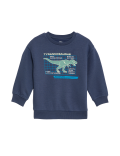 Cotton Rich Dinosaur Sweatshirt (2-8 Yrs)