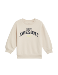 Cotton Rich Awesome Slogan Sweatshirt (2-8 Yrs)