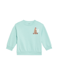 Cotton Rich Bear Sweatshirt (2-8 Yrs)