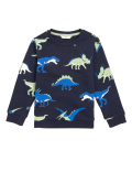 Organic Cotton Neon Dinosaur Sweatshirt (2-7 Yrs)