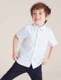 Pure Cotton Striped Oxford Shirt