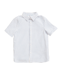 Pure Cotton Striped Oxford Shirt
