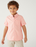 Pure Cotton Oxford Shirt