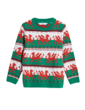 Mini Me Welsh Christmas Jumper