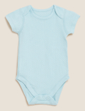 5pk Pure Cotton Pointelle Bodysuits